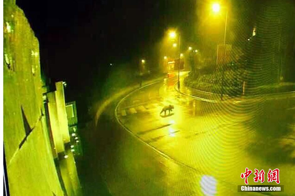 ͼΪ���¼��3��5�ռ�¼�µ���ƵӰ��