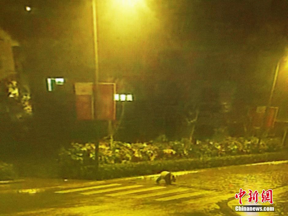 ͼΪ���¼��3��5�ռ�¼�µ���ƵӰ��