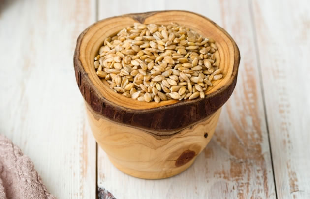 ����һ�뵥��С��Լ1 ����ǰ�ڰ�����������ֲ�ı�����������Mandy Reschke/Corbis��