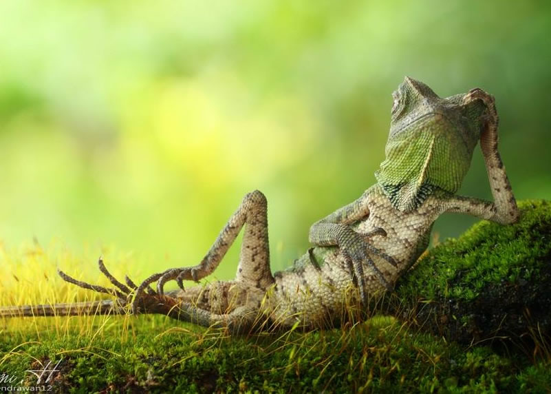 ɫ̬ԲݵأΪʱװܿķŮģض졣