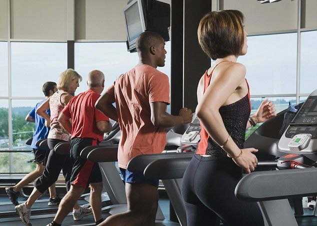 �����о����ֺɶ���MOTS-c���������˶��ļ���Ч��