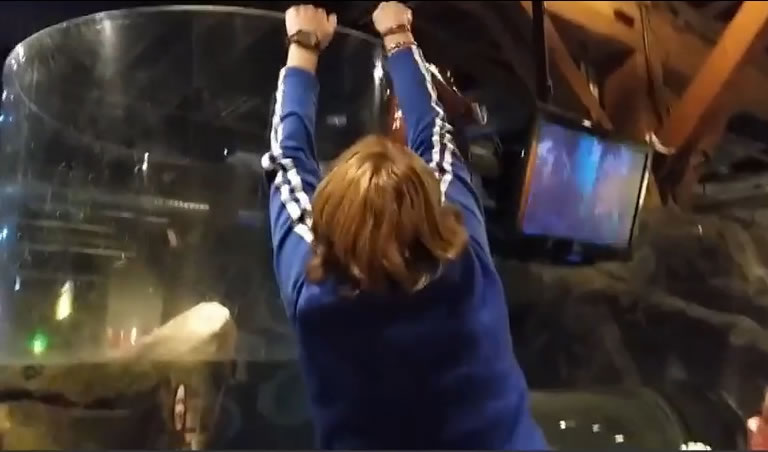 Ů���ˡ�����������������צ��Ū�������ڡ�