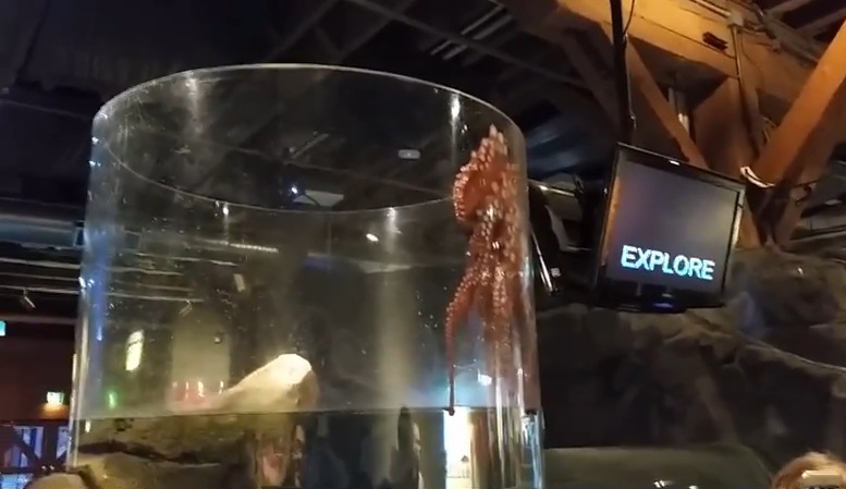 ��צ�㡰��ȡ�����Ȼ�������������ı�Ե��