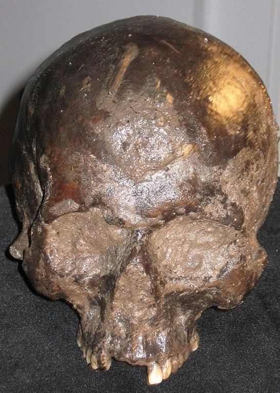 人头骨于2009年在约克郡被发现