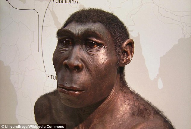 美国古生物学家最新研究显示古人类最初是像鬣狗一样的腐食者