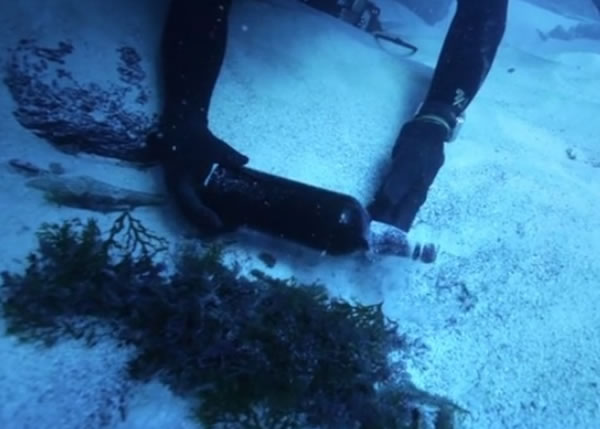 专家品酿后,形容味道像是汽油、盐水和醋的混合物。