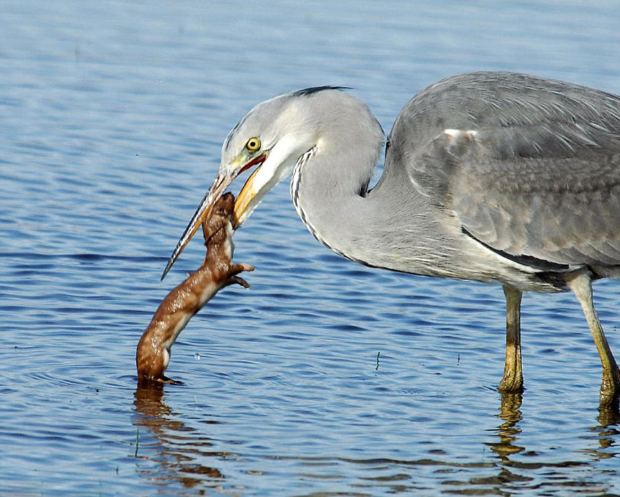 �����ǲ�֪��ߵغ���ͼϮ������ �������̵�