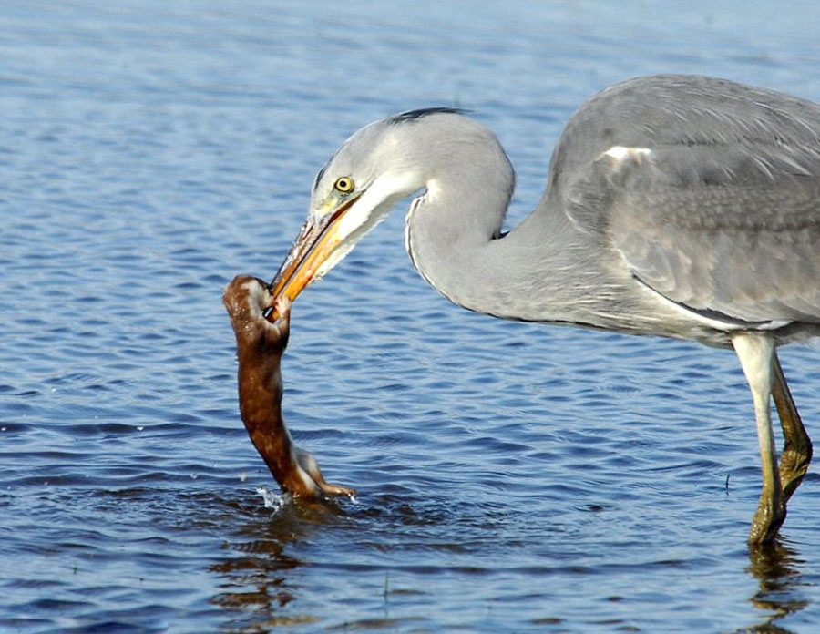 �����ǲ�֪��ߵغ���ͼϮ������ �������̵�