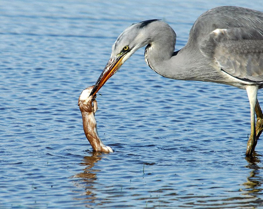 �����ǲ�֪��ߵغ���ͼϮ������ �������̵�