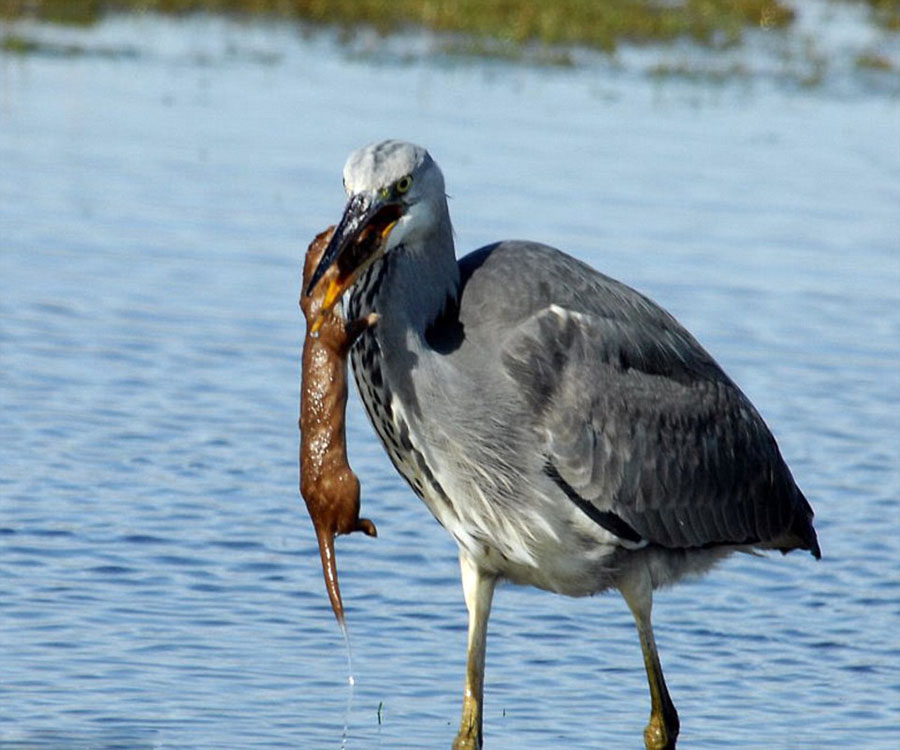 �����ǲ�֪��ߵغ���ͼϮ������ �������̵�