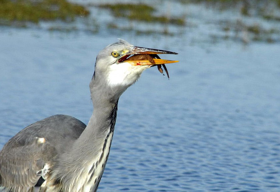 �����ǲ�֪��ߵغ���ͼϮ������ �������̵�