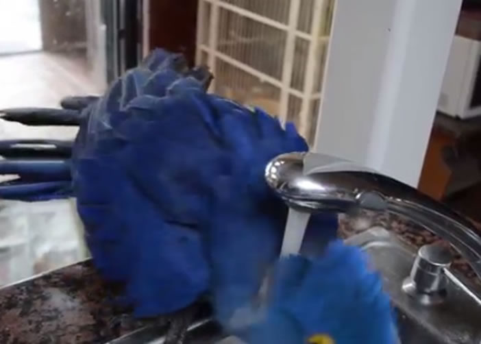 试完水温后,艾里斯先洗头。