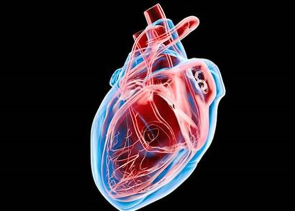 ר�Һ�����ְ��Ա���߶����������ཡ����