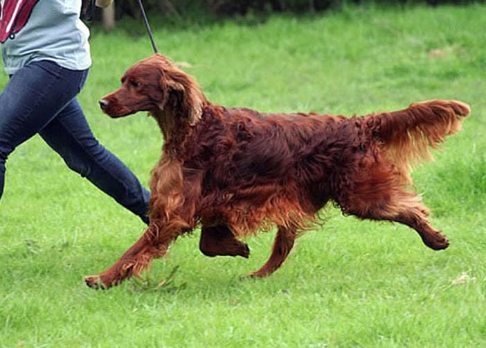 ���Ӳμӹ�չ���ж�����