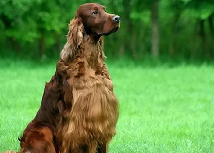 ����ǰ;�޿�����