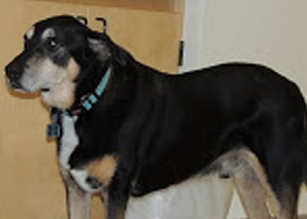 ʼͼŵ״ٰߵҺʱſ£֮ͻת뿪