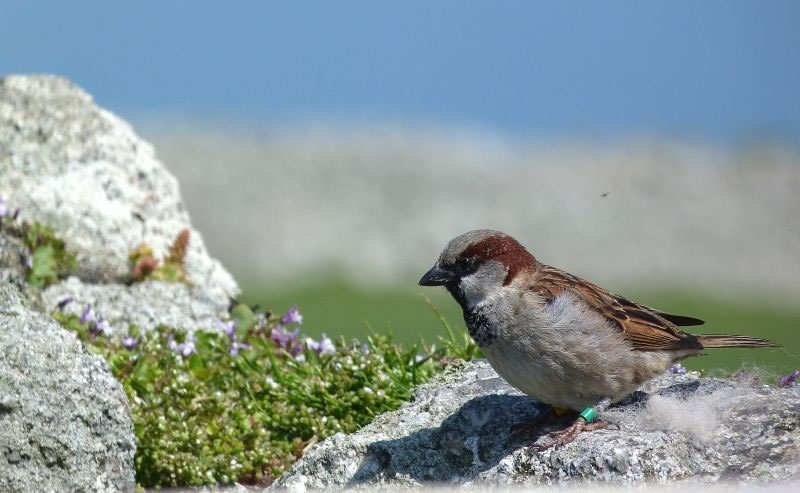 ��ȸ�곤ʱ�ڷ�ֳ�����غ��