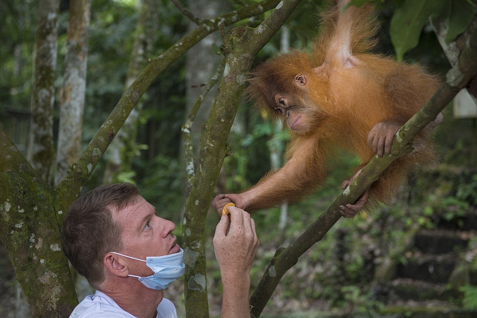 ���������͵��Ӵ��������ӡ�������ݼ����Ŵ������ĺ�ë������Ϣ�ر����ذ���