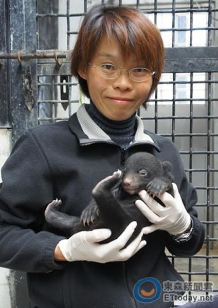 ��̨��������衹��������ʦ���ܱ�����