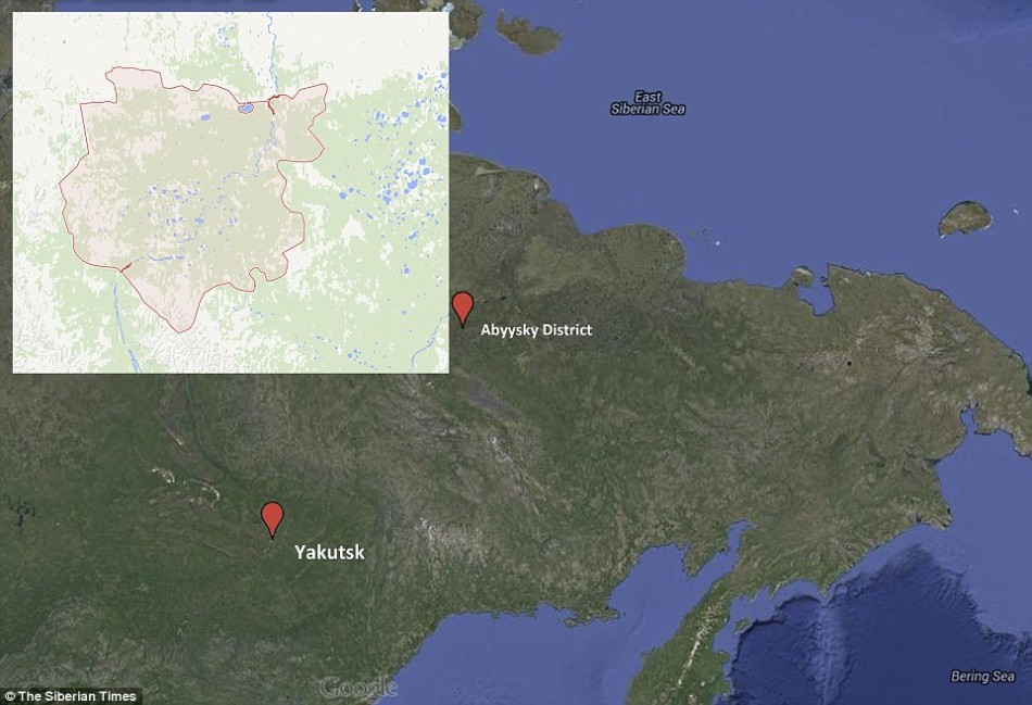 去年9月份,当两个猎人沿着西伯利亚的一条小河划船时,发现了Sasha。她的发现可以帮助科学家更好理解长毛犀牛的生存环境、生长规律以及和现存犀牛的关系。