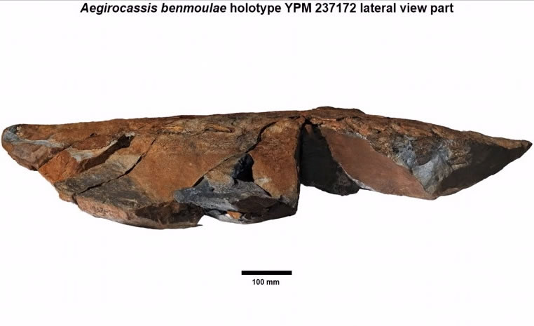 Ħ緢ֱ໹͡48ǧʷʷǰϺʯ