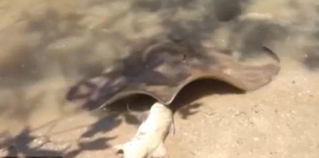 ���ɵ����ϰ��ߣ�����������㡣