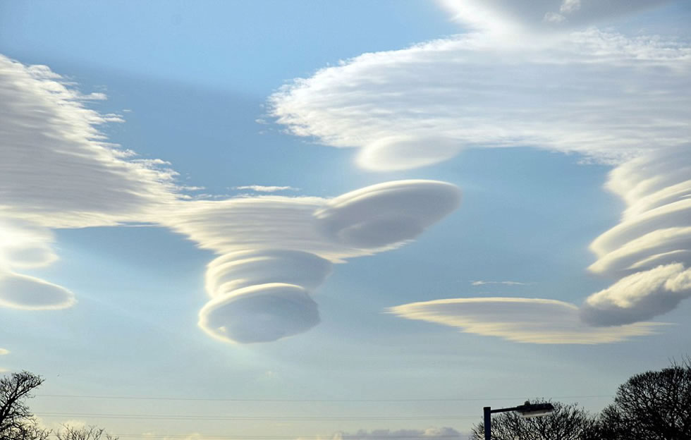 ������������Ʋ��Ȼ���ֳ�һ�������������ŵĹ��߶Աȡ�