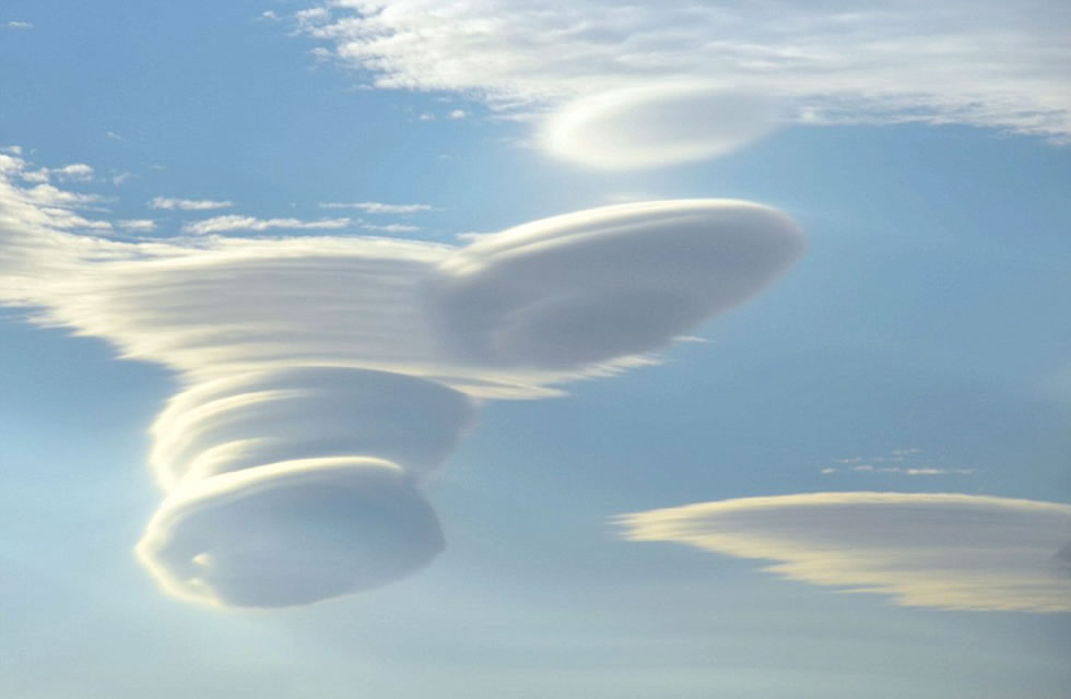 ˹�������������;�з��ַɵ�״�Ʋ㡣