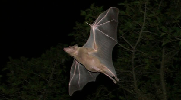 �о���������ʹ������������о�������������Ĳ���