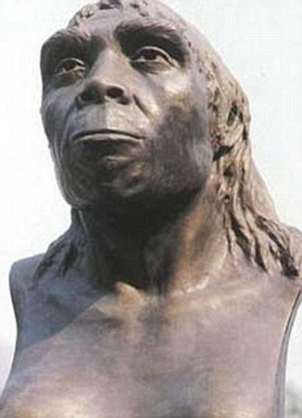 ����Գ�˵����ڽ�������ݷ��ֵ�������һ���Ѿ�ĥ���Ȯ�ݡ���ѧ�ұ�ʾ���ݵ�������һ����Ů����ǰ���ܾ����й�ͷ��ҧ�����