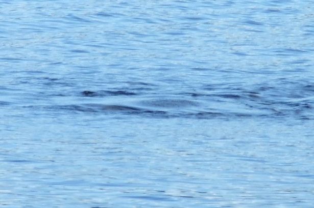 һ��ĸŮ���ƿ�����˹��ˮ������