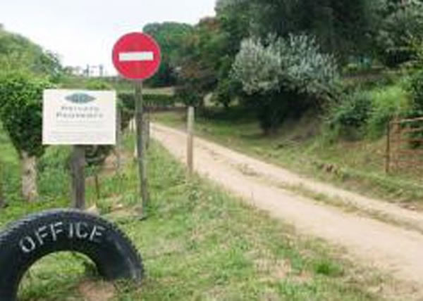 当局在甘蔗田发现藏有100具尸体的乱葬岗。图为该甘蔗田入口。