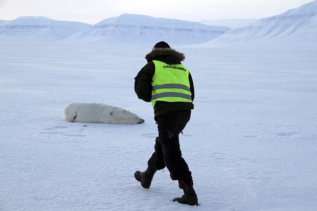 �������·��󱻾�Ԯ��Ա����