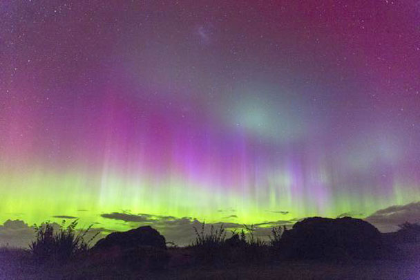 �������罻ý���Ϸ������ϼ�����Ƭ