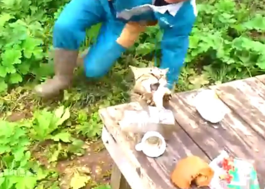 钓友想制止猫咪也来不及,更跌个倒地葫芦。