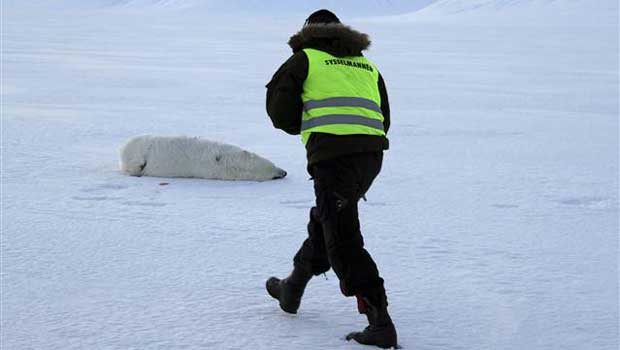 ���ֲ���������200���ߴ����б�����