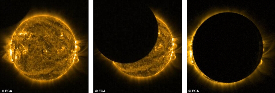 ŷ޺ֵ̫۲΢㵽ʳƬʾڵ̫ȫ̡ʳ۲׶Ϊʳȡʳ⡢Բ