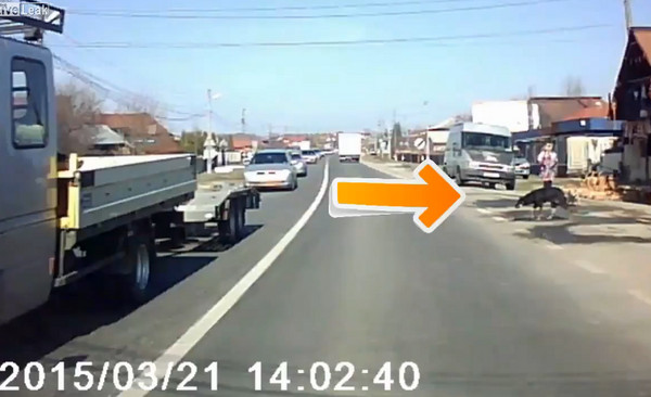 ��������·û����