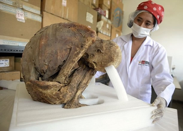 起出的本乃伊已有逾千年历史。