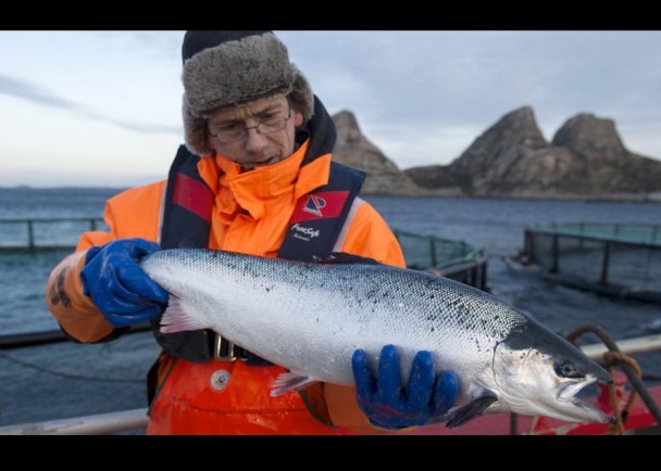 �й���Ų�������������������