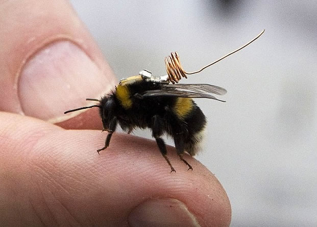 �����з��ĳ�΢��������Ƶ׷���������Լ�ʱ׷���۷�����١�