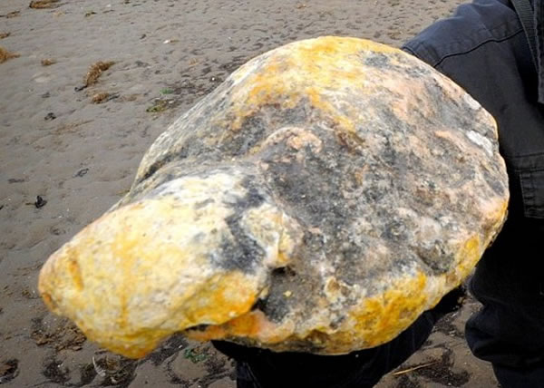 Ȼ��������ר�ҷ�����顰�����㡱��ָ�����������������㡣