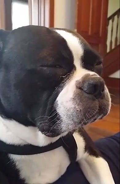 ������������˯��