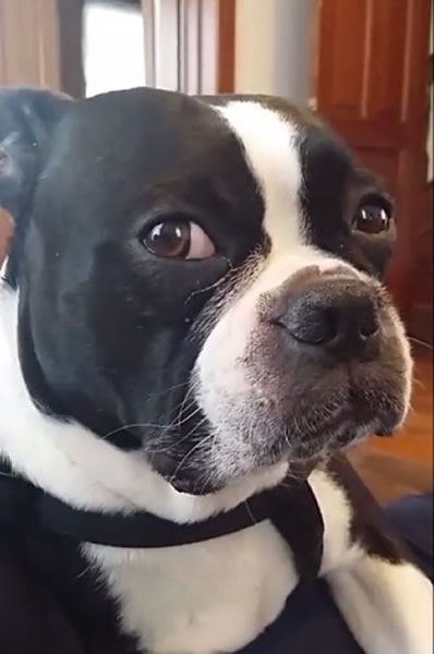 �������˽������������²�����ſ��۾���