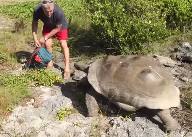 ˹Ӿ޹겻䱻ɧ ׷ɱҵƵ̽Ա