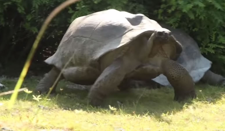 ۹ɲ±ɧţתͷ߽˹Ӱʦ⹥ǡ