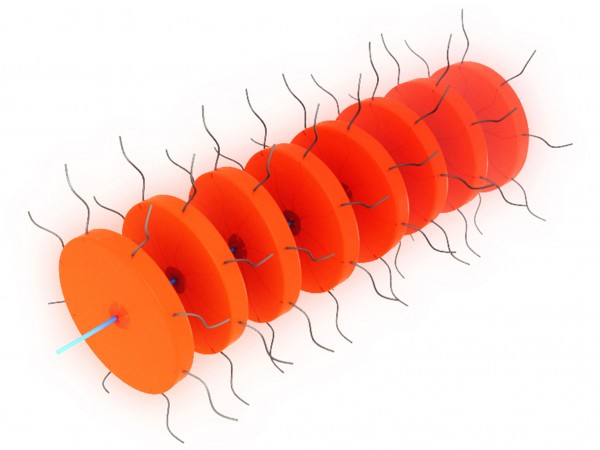 科学家制成一种更适合给病毒而非人类佩戴的微型项链