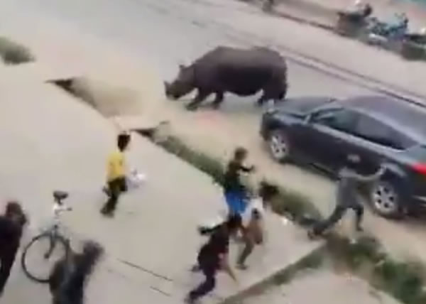 Ϭţ���������г���ײ��;�������߱ܡ�