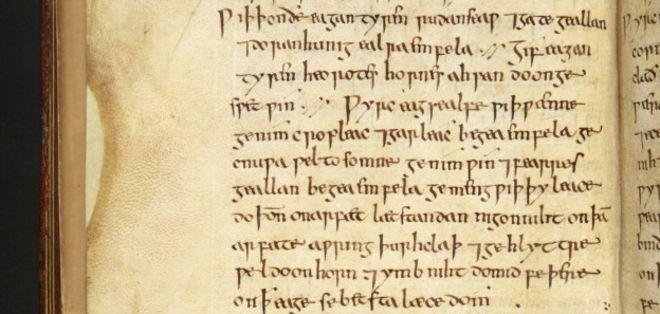 1000年前盎格鲁-萨克逊人治疗睫毛毛囊受到感染的麦粒肿的药方