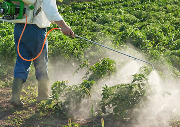 �о����֣����и�ũҩ���ŵ��߹�����ʱӰ������ʿ�ľ���������������